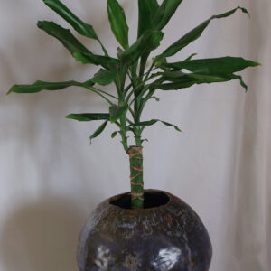 sphere planter